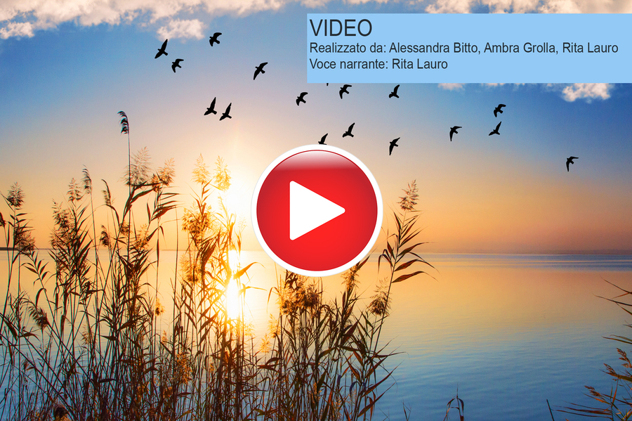 la-biodiversita-del-mediterraneo-e-la-sua-importanza-in-ambito-nutraceutico