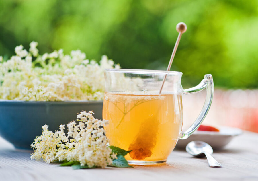 sambuco-e-sistema-immunitario-proprieta-benefici-e-uso-secondo-la-scienza