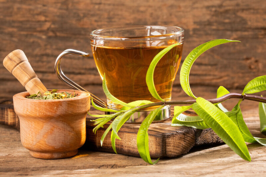 verbena-proprieta-benefici-e-rischi-delle-tisane-naturali