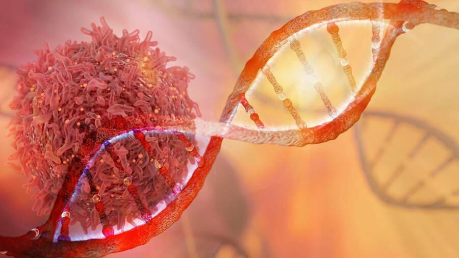 nuove-armi-contro-il-cancro-target-therapy-e-immunoterapia