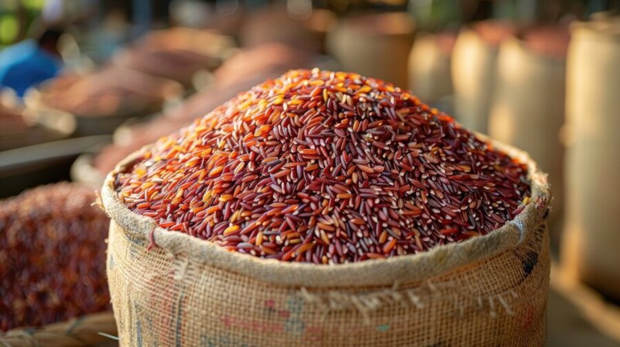 riso-rosso-fermentato-e-allarme-intossicazioni-facciamo-chiarezza