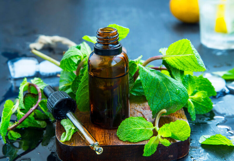 l-olio-essenziale-di-menta-nella-sindrome-del-colon-irritabile-e-davvero-utile